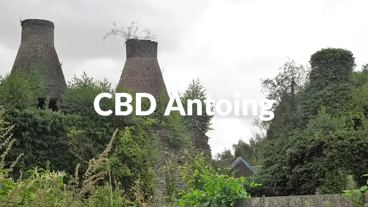 CBD Antoing - Acheter du CBD à Antoing