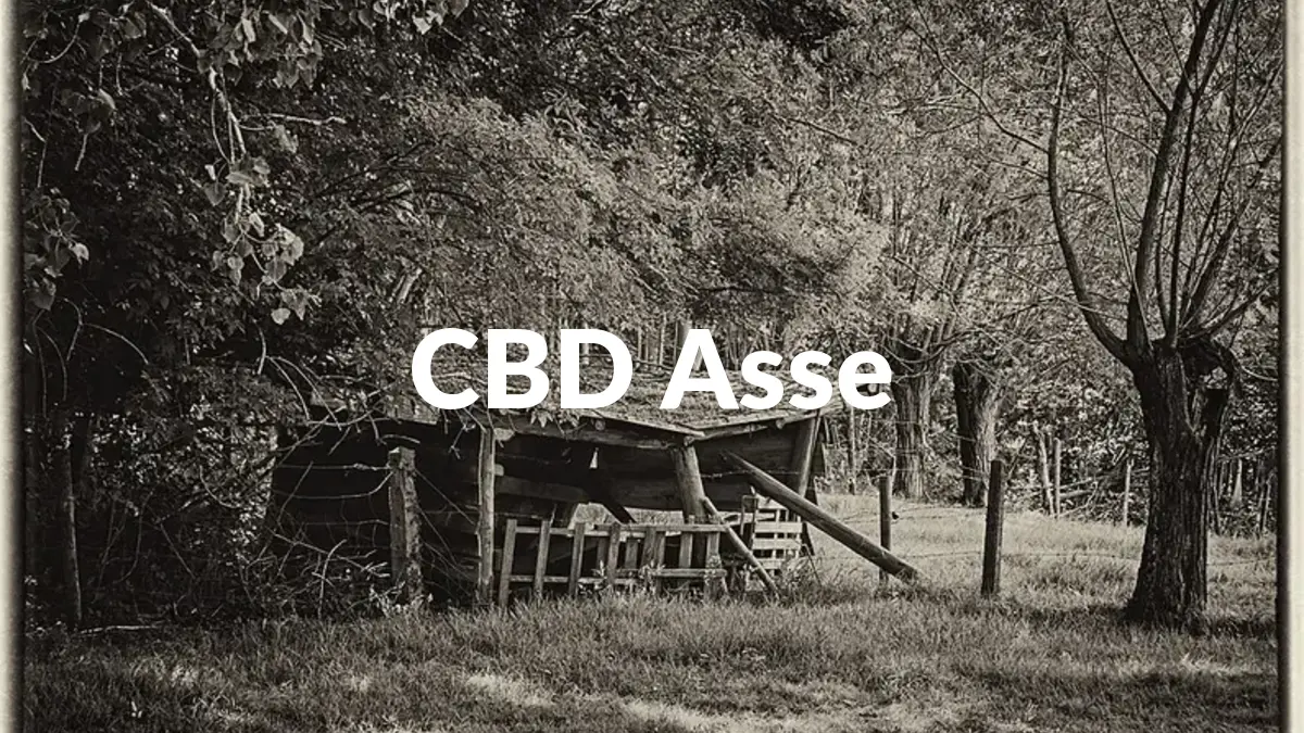 CBD Asse - Acheter du CBD à Asse