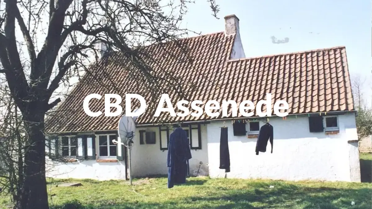 CBD Assenede - Acheter du CBD à Assenede