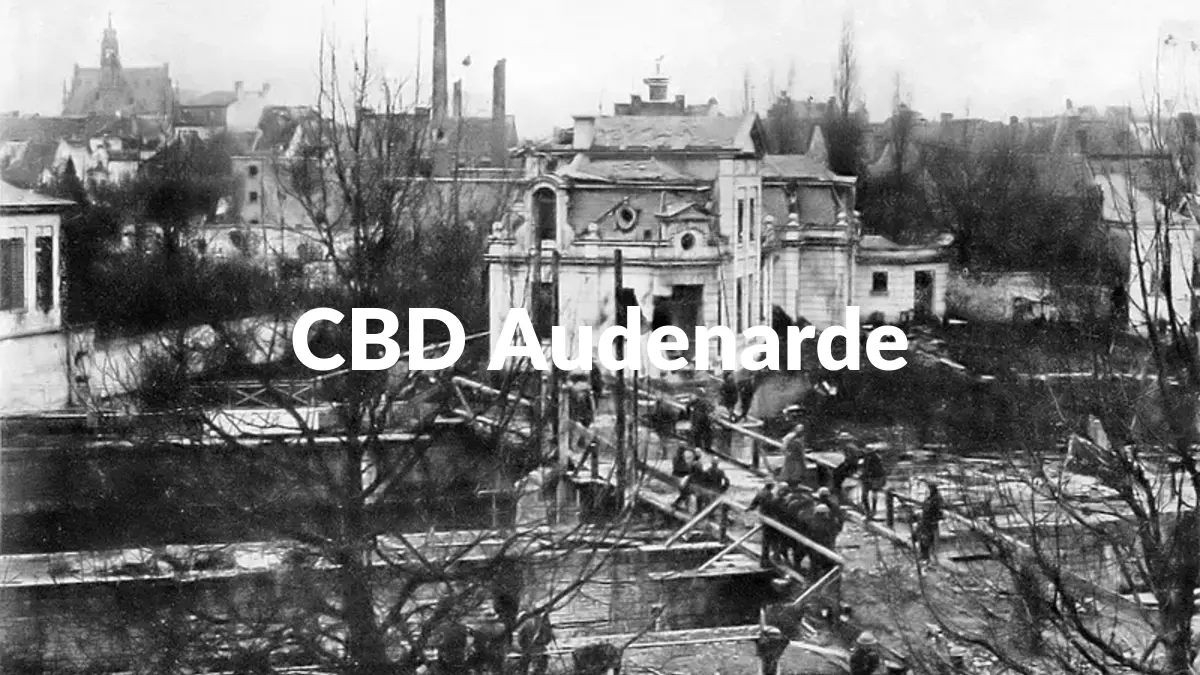 CBD Audenarde - Acheter du CBD à Audenarde