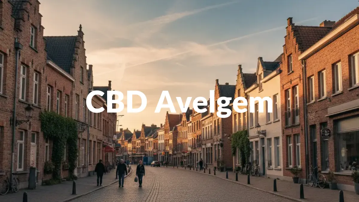 CBD Avelgem - Acheter du CBD à Avelgem