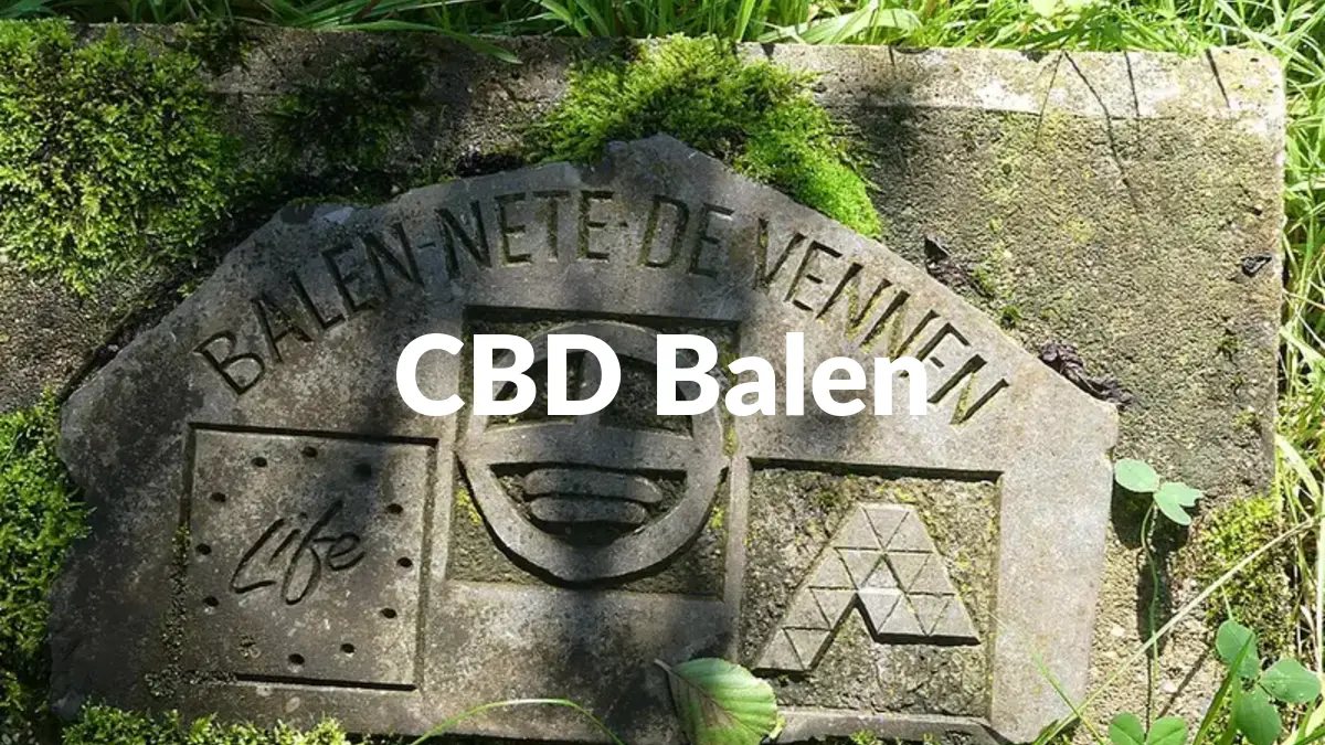 CBD Balen - Acheter du CBD à Balen