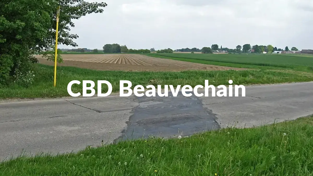 CBD Beauvechain - Acheter du CBD à Beauvechain
