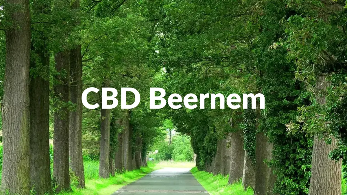 CBD Beernem - Acheter du CBD à Beernem