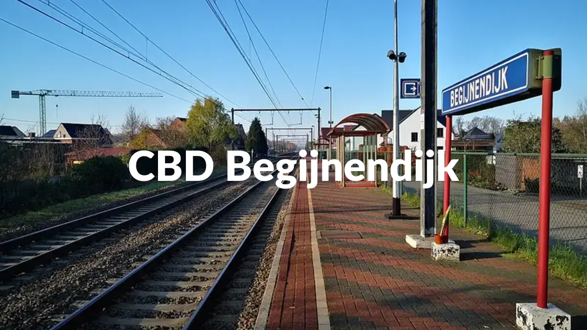 CBD Begijnendijk - Acheter du CBD à Begijnendijk