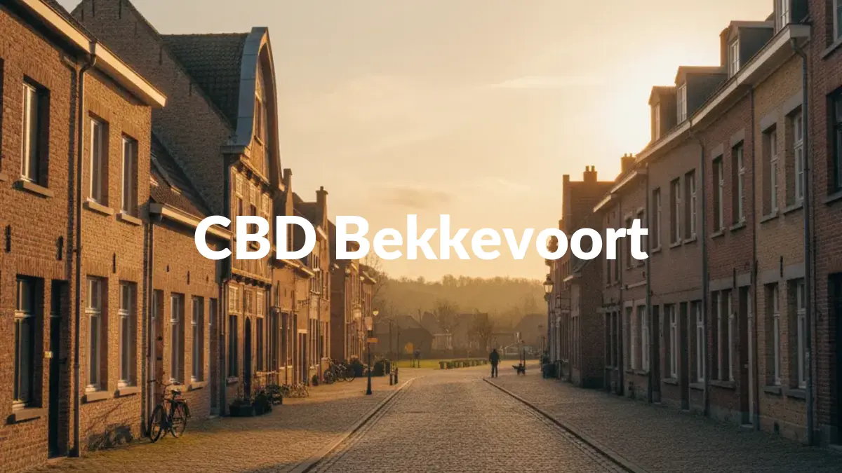 CBD Bekkevoort - Acheter du CBD à Bekkevoort