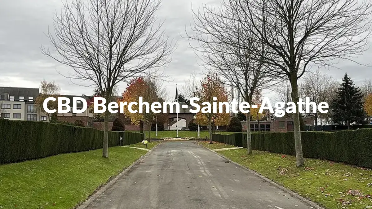 CBD Berchem-Sainte-Agathe - Acheter du CBD à Berchem-Sainte-Agathe