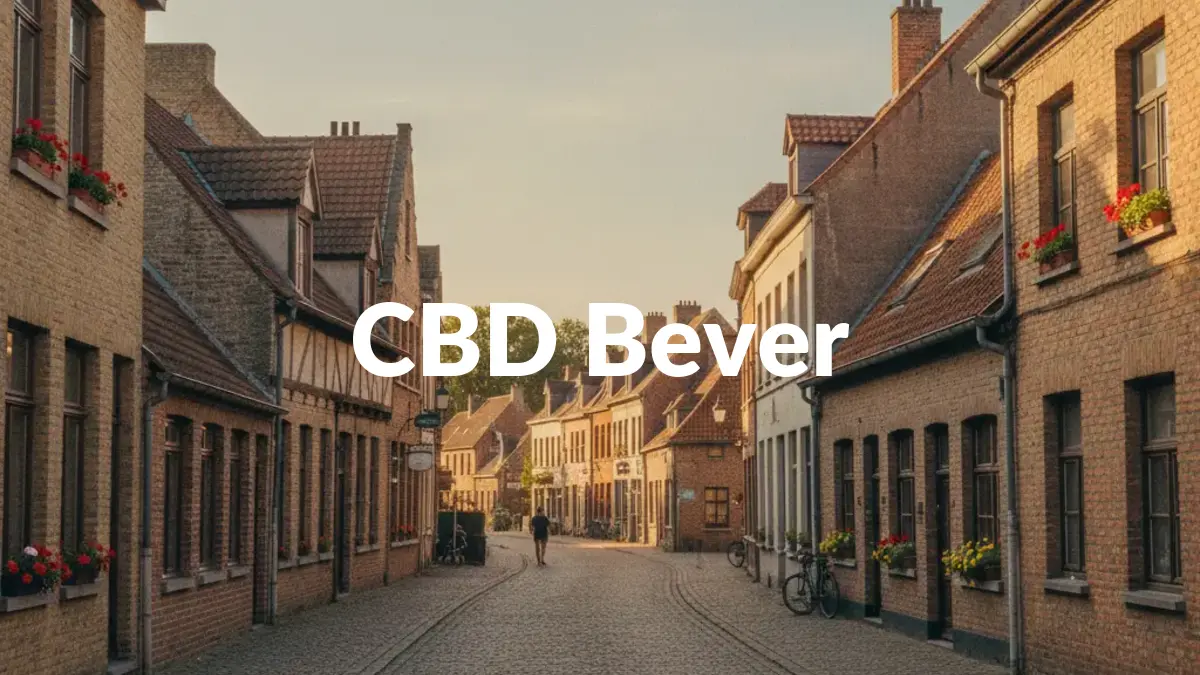 CBD Bever - Acheter du CBD à Bever