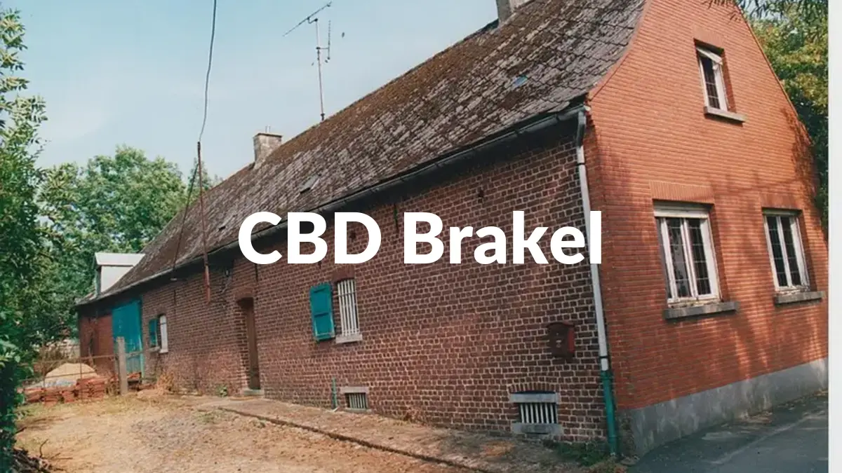 CBD Brakel - Acheter du CBD à Brakel