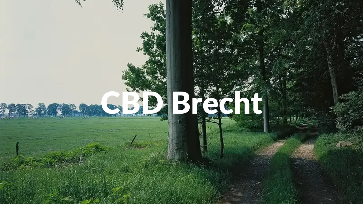 CBD Brecht - Acheter du CBD à Brecht