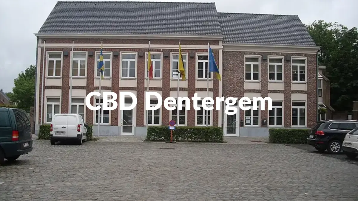 CBD Dentergem - Acheter du CBD à Dentergem