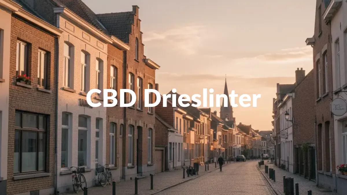 CBD Drieslinter - Acheter du CBD à Drieslinter