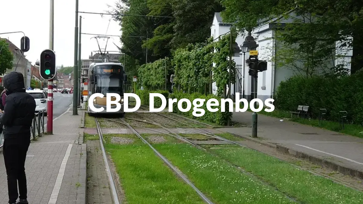 CBD Drogenbos - Acheter du CBD à Drogenbos