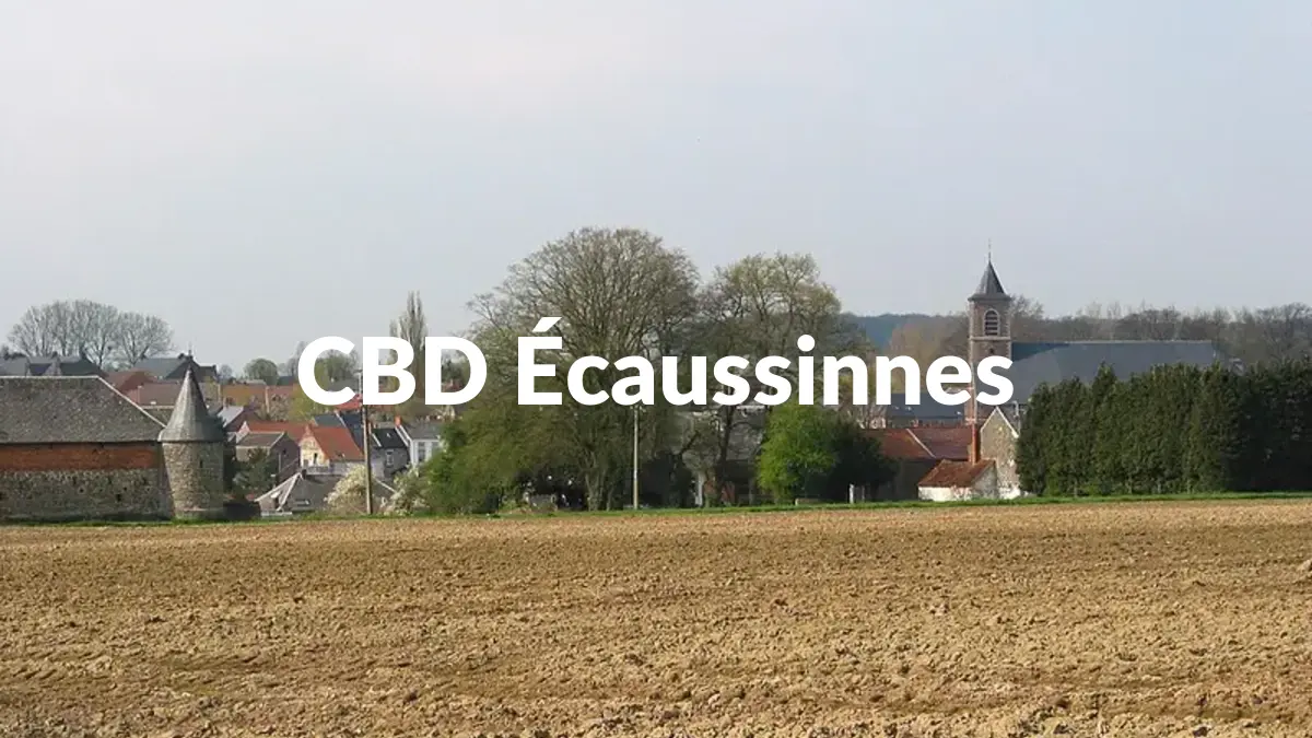 CBD Écaussinnes - Acheter du CBD à Écaussinnes
