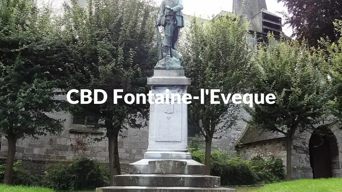 CBD Fontaine-l'Eveque - Acheter du CBD à Fontaine-l'Eveque