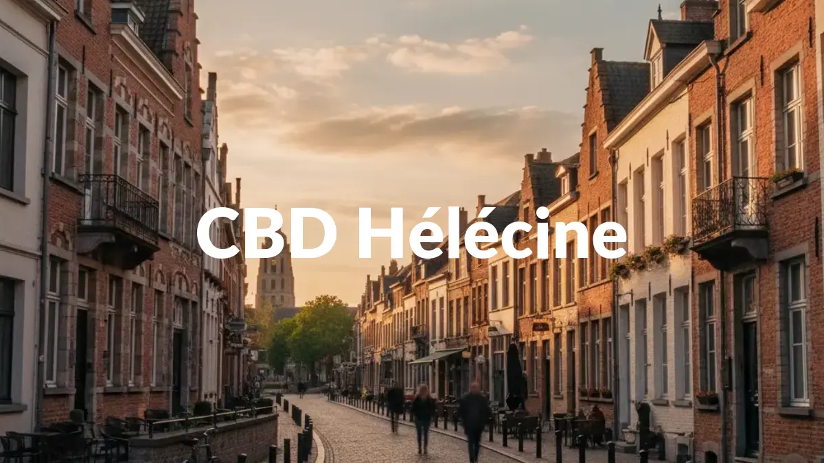 CBD Hélécine - Acheter du CBD à Hélécine