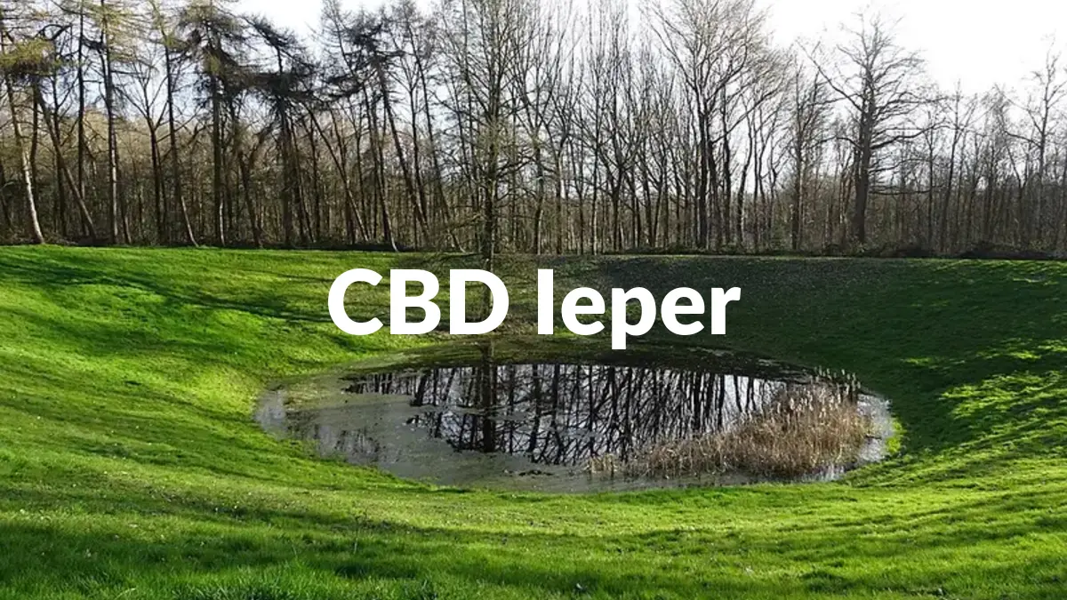 CBD Ieper - Acheter du CBD à Ieper