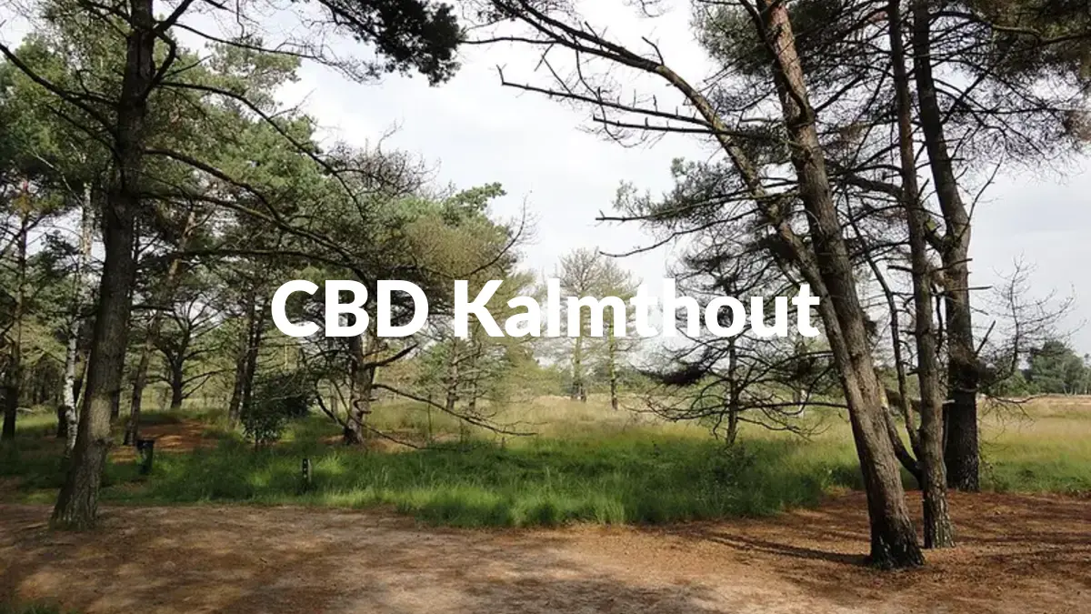 CBD Kalmthout - Acheter du CBD à Kalmthout
