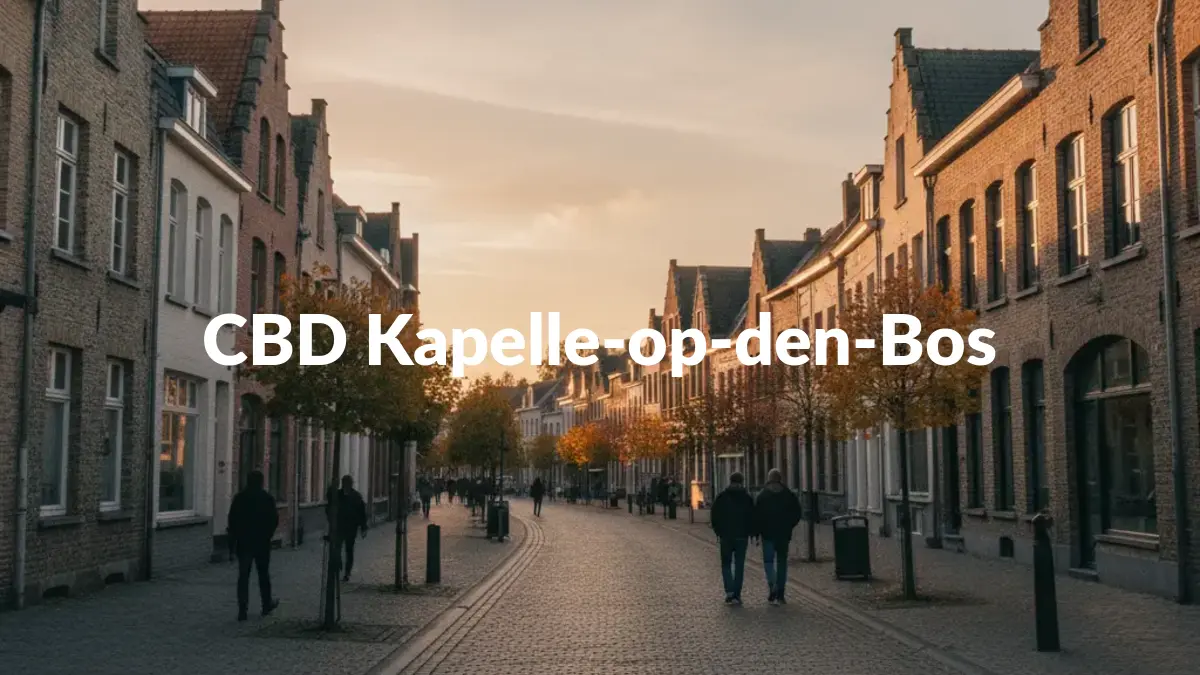 CBD Kapelle-op-den-Bos - Acheter du CBD à Kapelle-op-den-Bos