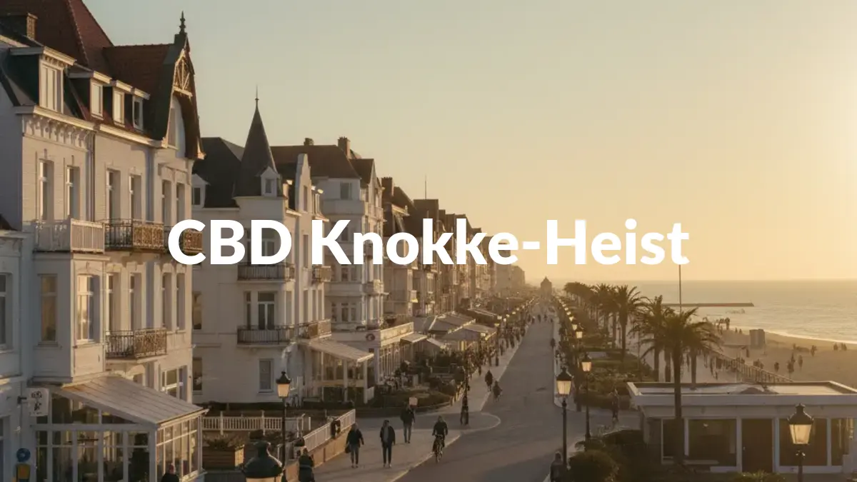 CBD Knokke-Heist - Acheter du CBD à Knokke-Heist