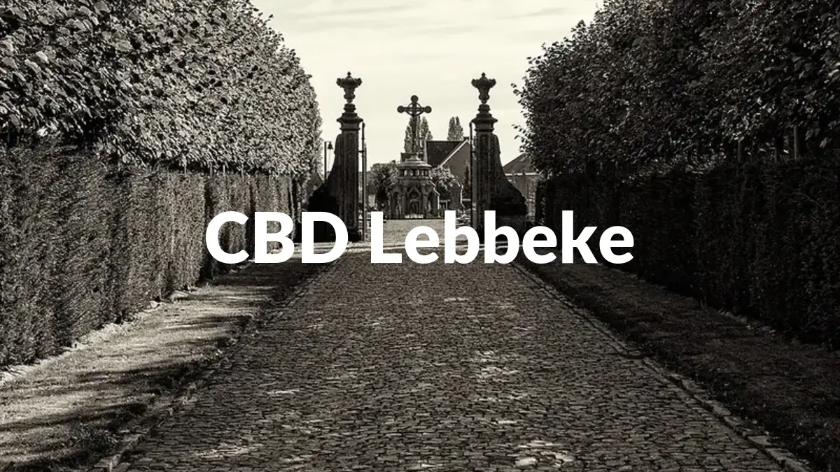 CBD Lebbeke - Acheter du CBD à Lebbeke