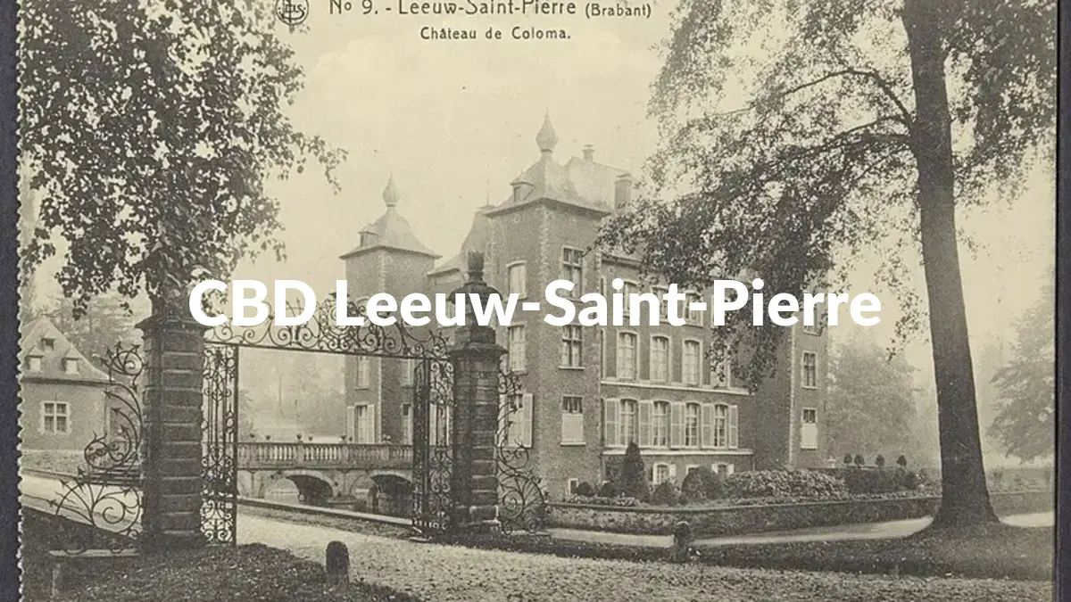 CBD Leeuw-Saint-Pierre - Acheter du CBD à Leeuw-Saint-Pierre