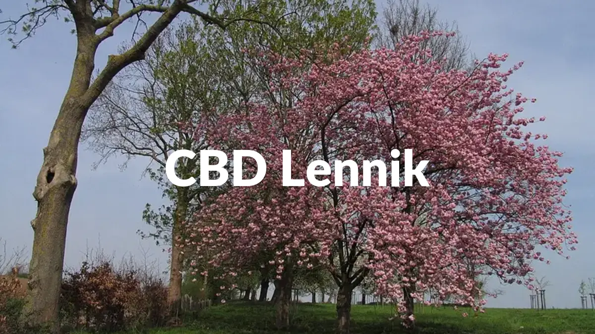 CBD Lennik - Acheter du CBD à Lennik