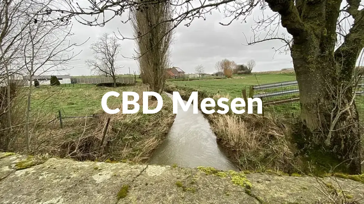 CBD Mesen - Acheter du CBD à Mesen