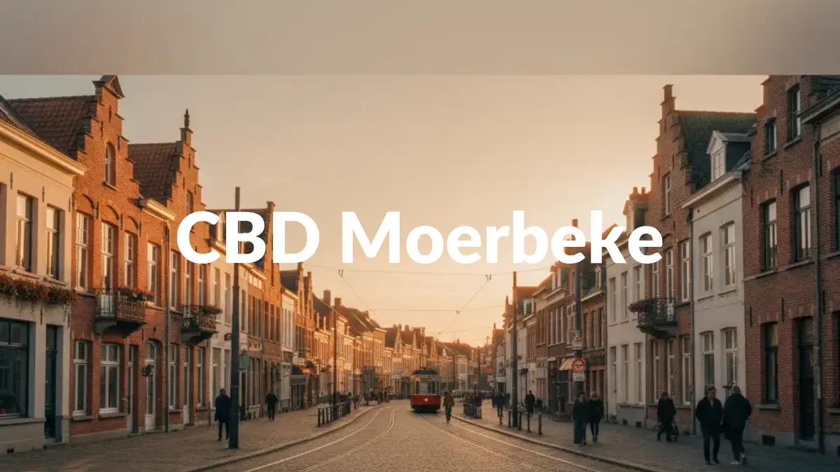 CBD Moerbeke - Acheter du CBD à Moerbeke