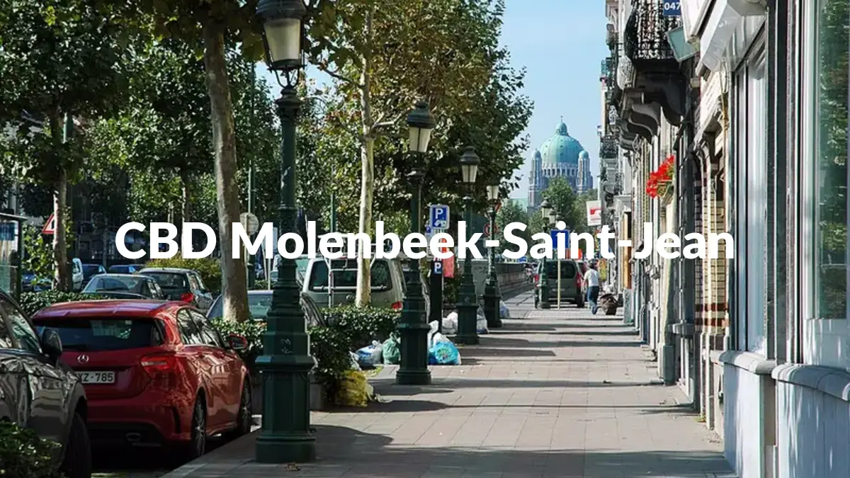 CBD Molenbeek-Saint-Jean - Acheter du CBD à Molenbeek-Saint-Jean