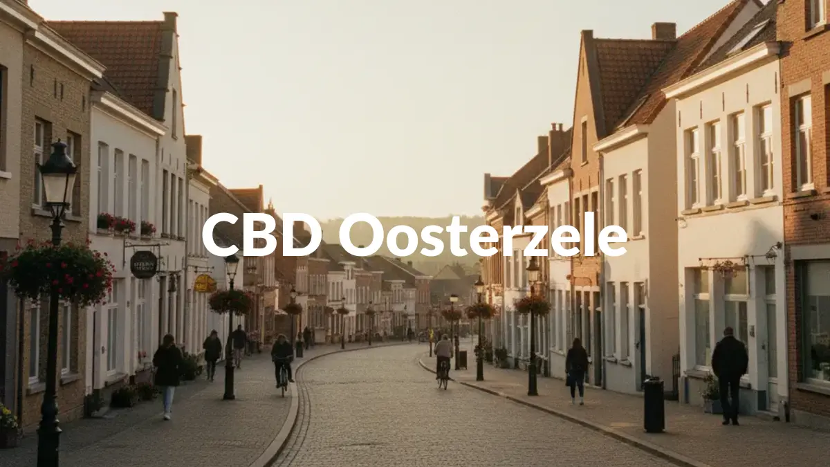 CBD Oosterzele - Acheter du CBD à Oosterzele