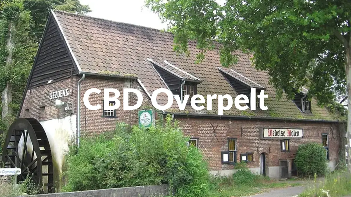 CBD Overpelt - Acheter du CBD à Overpelt