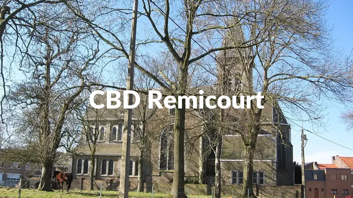 CBD Remicourt - Acheter du CBD à Remicourt