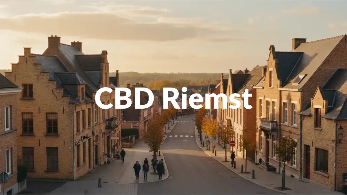 CBD Riemst - Acheter du CBD à Riemst