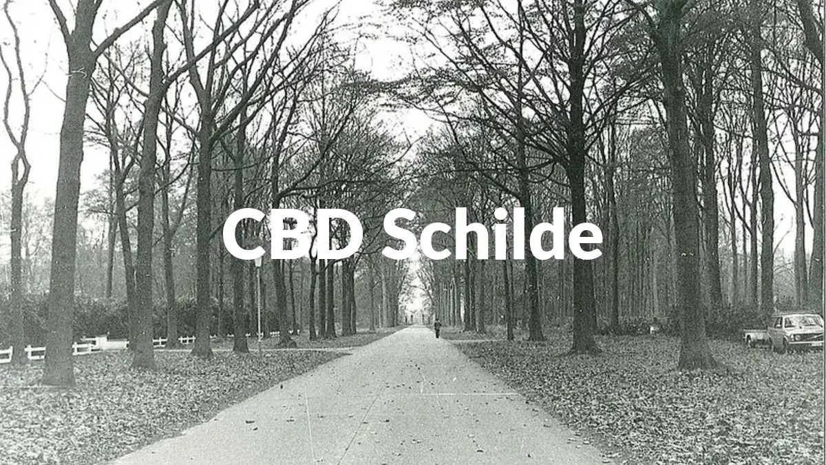 CBD Schilde - Acheter du CBD à Schilde