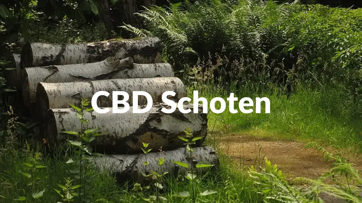 CBD Schoten - Acheter du CBD à Schoten