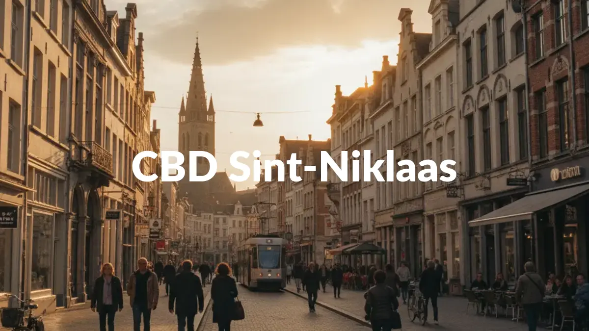 CBD Sint-Niklaas - Acheter du CBD à Sint-Niklaas