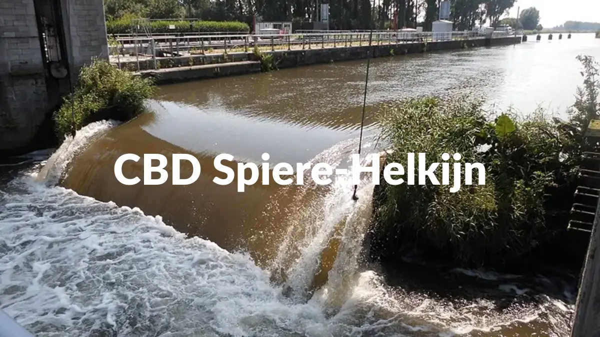 CBD Spiere-Helkijn - Acheter du CBD à Spiere-Helkijn