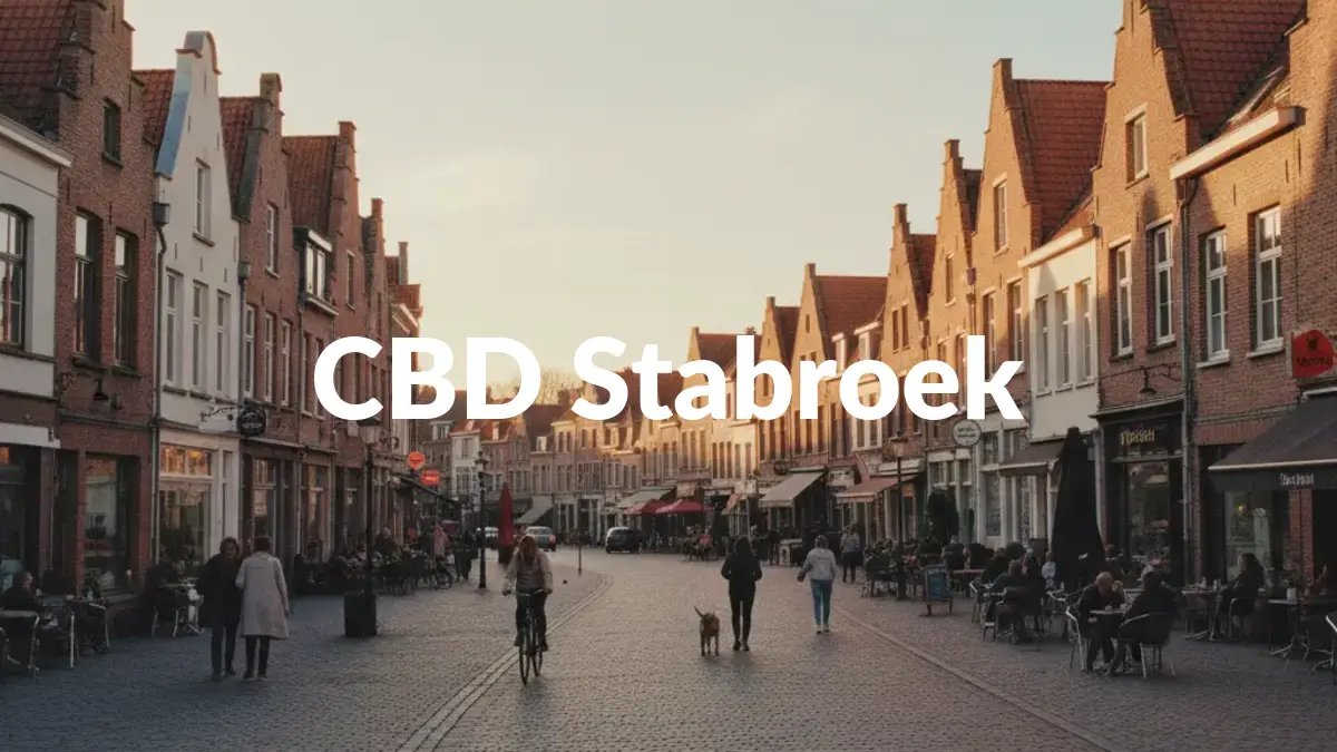 CBD Stabroek - Acheter du CBD à Stabroek
