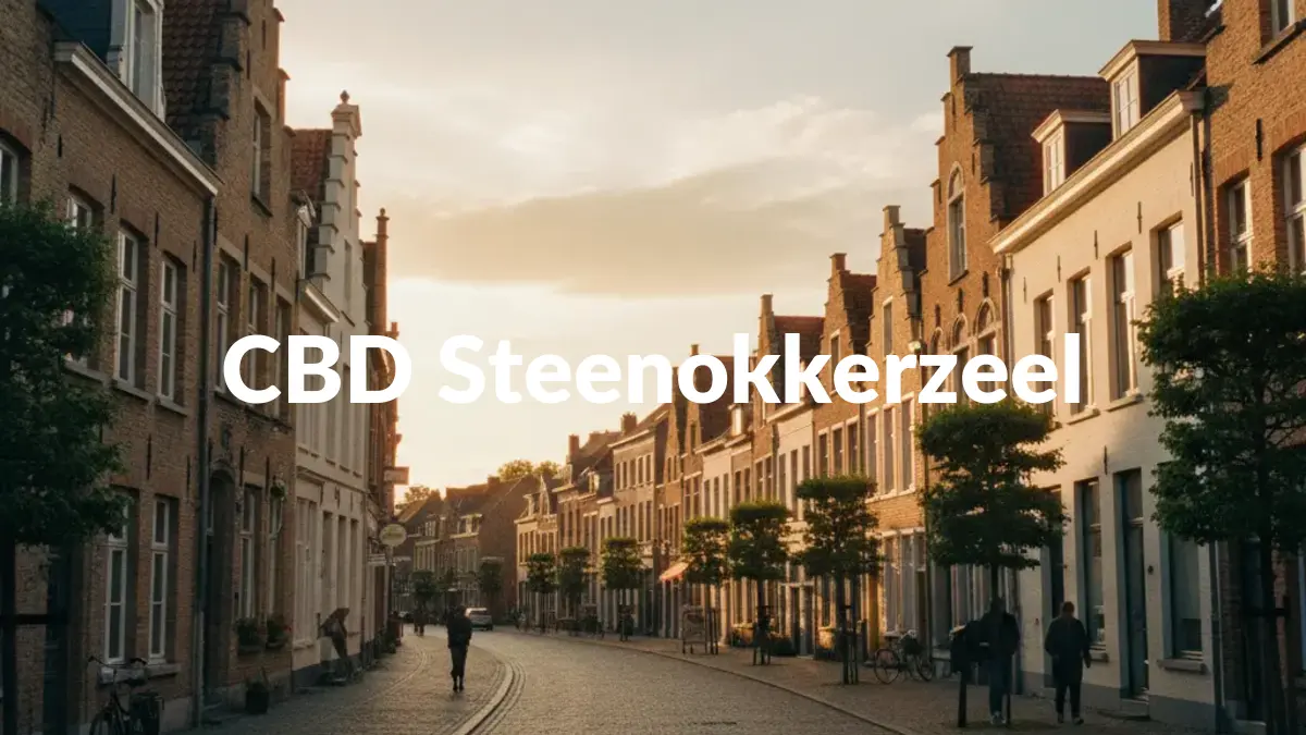 CBD Steenokkerzeel - Acheter du CBD à Steenokkerzeel