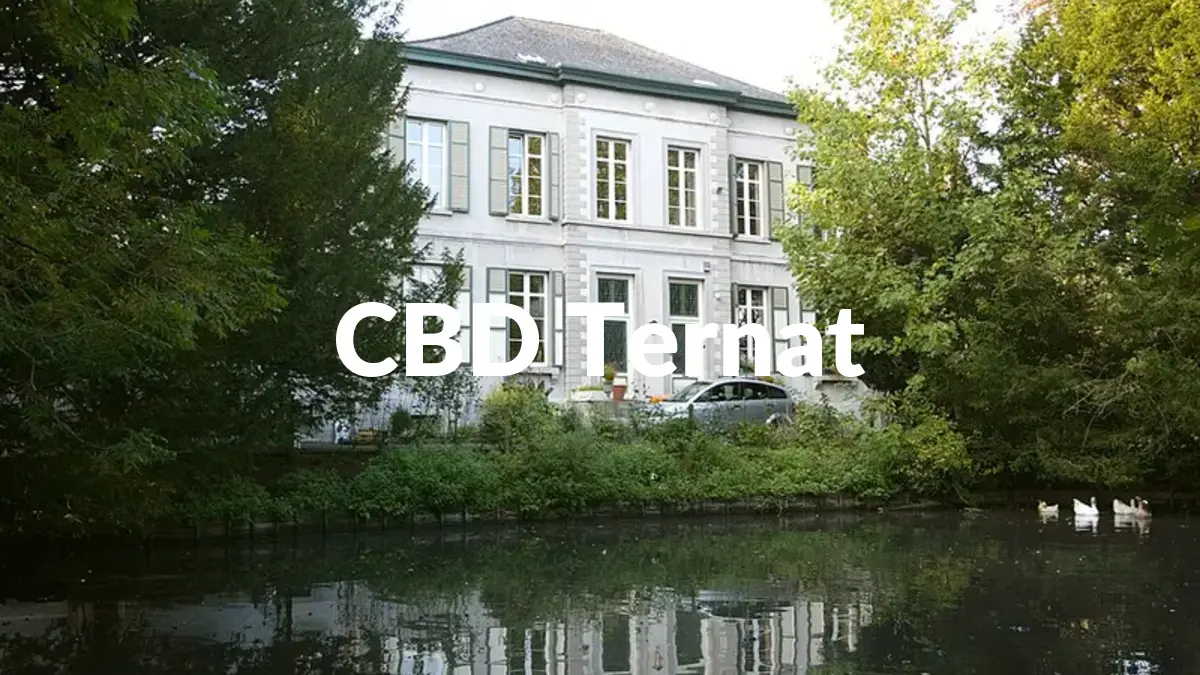 CBD Ternat - Acheter du CBD à Ternat