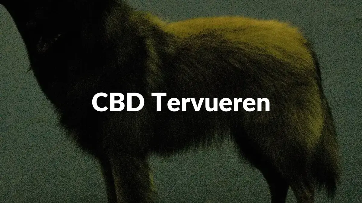 CBD Tervueren - Acheter du CBD à Tervueren
