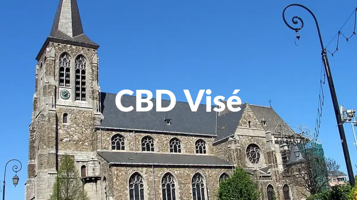 CBD Visé - Acheter du CBD à Visé
