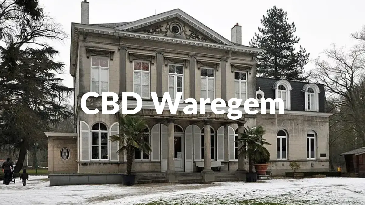 CBD Waregem - Acheter du CBD à Waregem