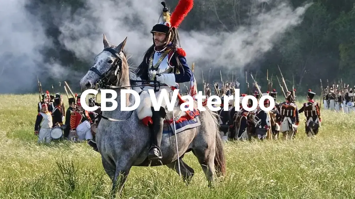 CBD Waterloo - Acheter du CBD à Waterloo