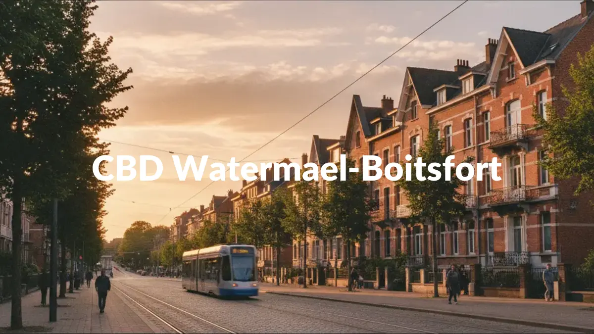 CBD Watermael-Boitsfort - Acheter du CBD à Watermael-Boitsfort