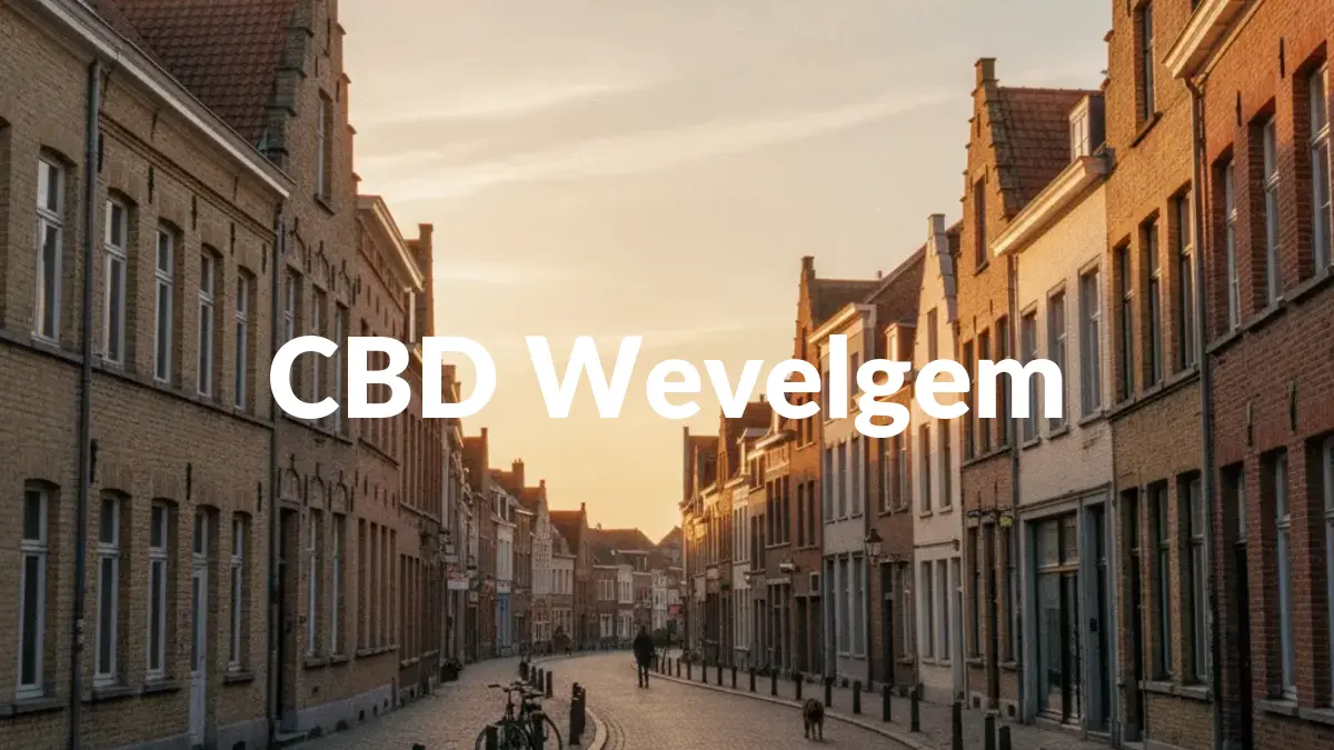 CBD Wevelgem - Acheter du CBD à Wevelgem