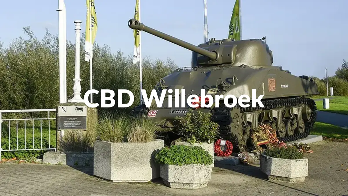 CBD Willebroek - Acheter du CBD à Willebroek