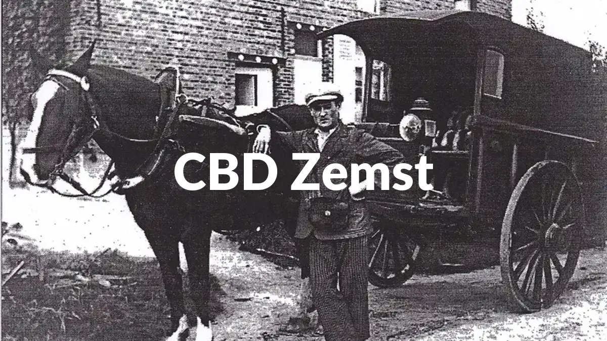CBD Zemst - Acheter du CBD à Zemst